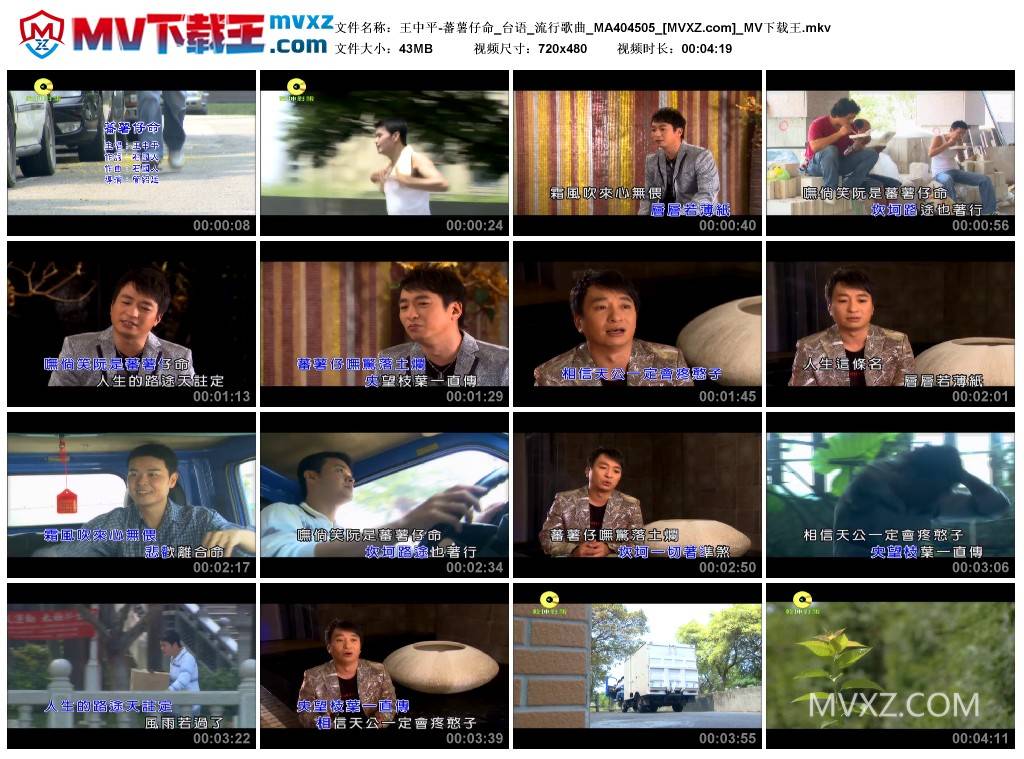 王中平-蕃薯仔命_台语_流行歌曲_MA404505